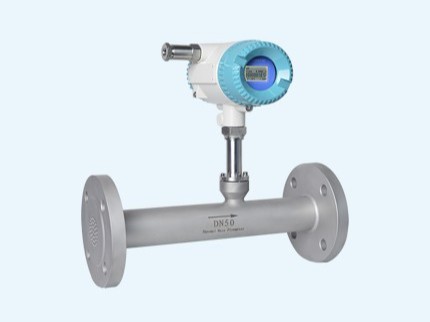 熱式氣體質(zhì)量流量計 熱式氣體質(zhì)量流量計